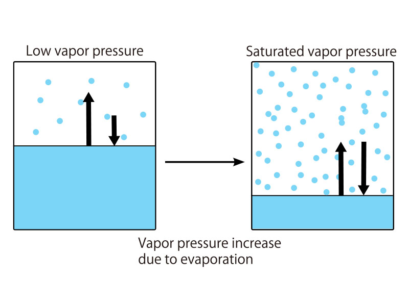 Saturated vapor pressure